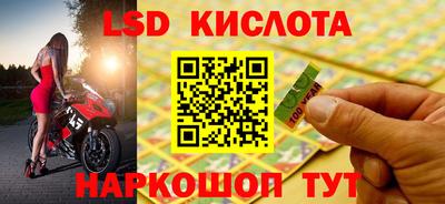 крисы Будённовск