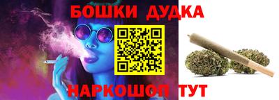 крисы Будённовск