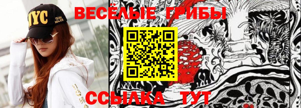 Псилоцибиновые грибы Psilocybine cubensis  Вход с VPN  Аксай 