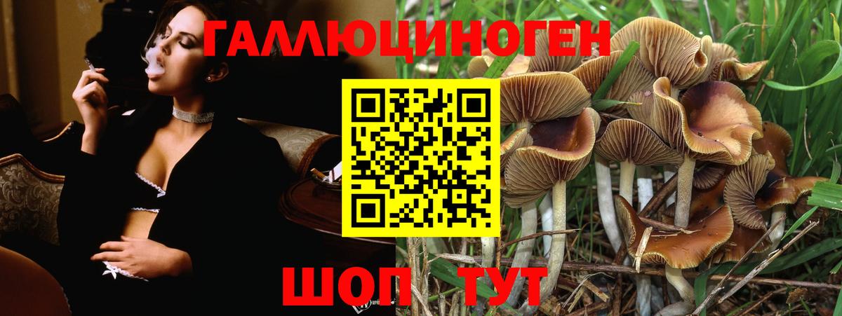 Псилоцибиновые грибы ЛСД Аксай
